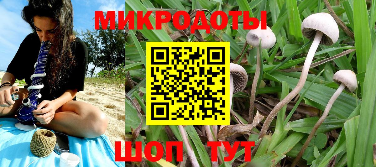 Михайловск  Псилоцибиновые грибы Psilocybe  где можно купить наркотик  Вход с VPN 